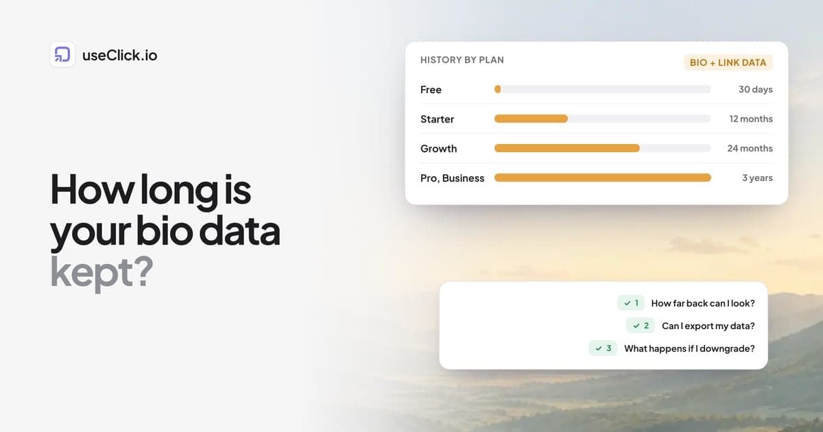 Link in Bio Analytics History: How Long Is Your Data Kept?